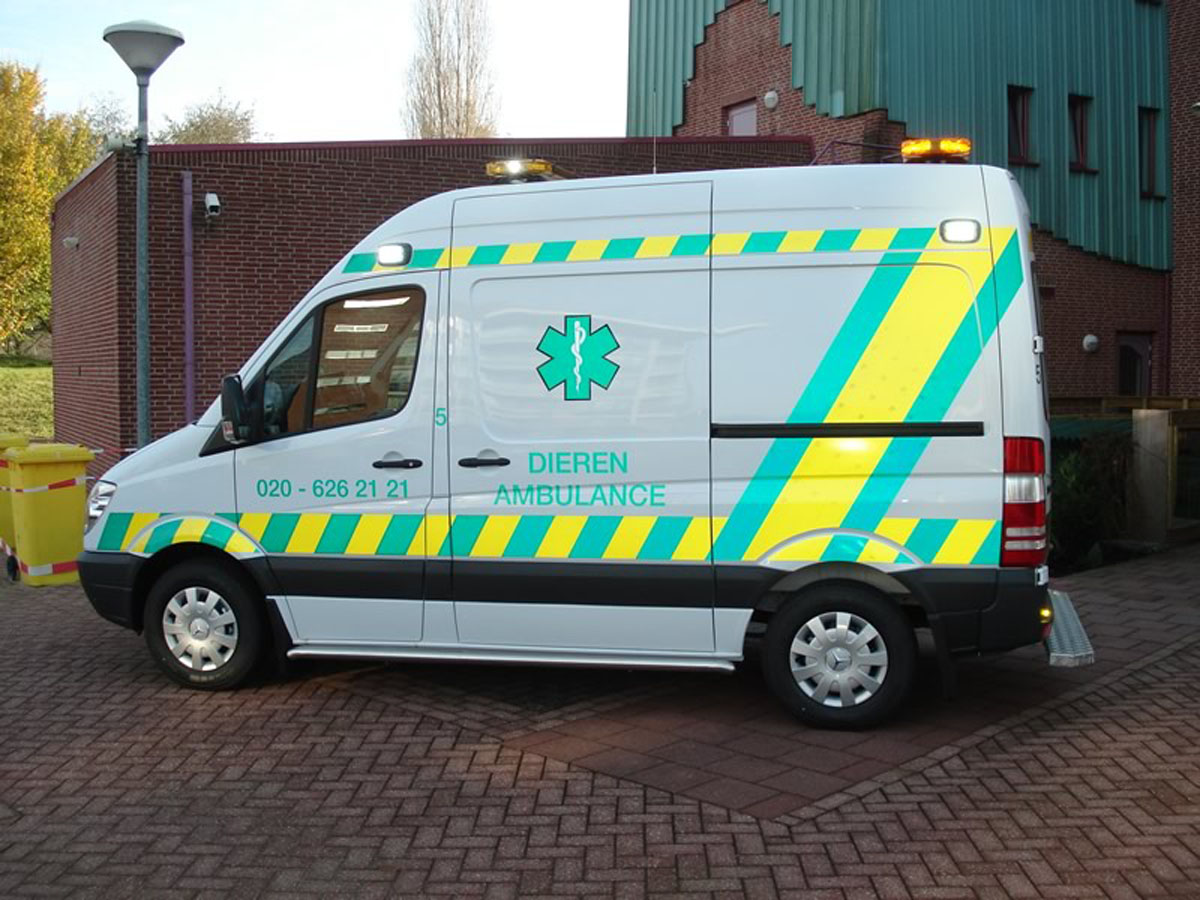 jDierenambulance 3.jpg